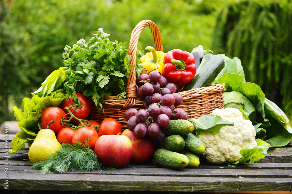 Fresh organic vegetables in wicker basket in the garden - obrazy, fototapety, plakaty 