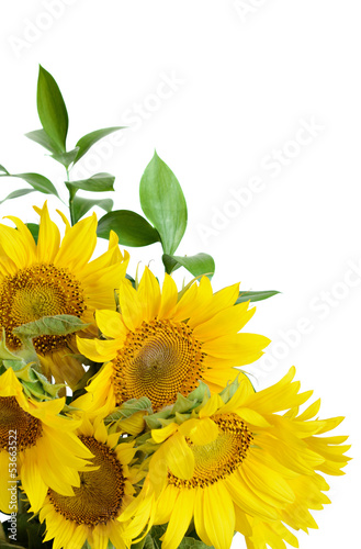 Bouquet of sunflowers