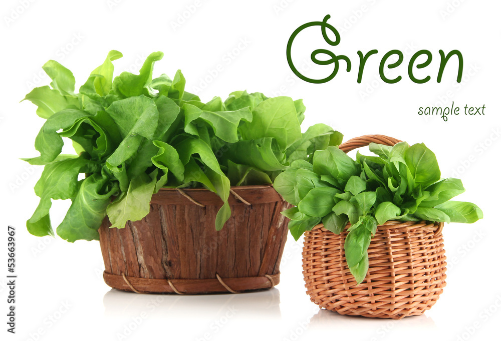 Naklejka premium Fresh herbs in baskets isolated on white