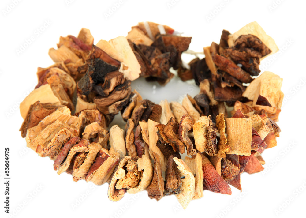 Dried mushrooms on string isolated on white Dried mushrooms on string isolated on white