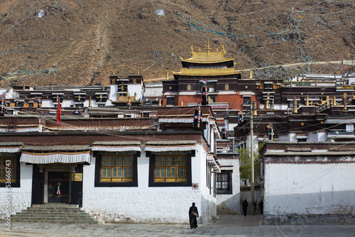Palkhor Monastery in Tibet photo