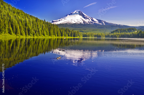 Mount Hood Reflection at Trillium Lake