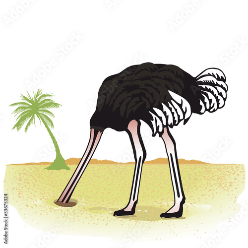 Strauß versteckt seinen Kopf in den Sand