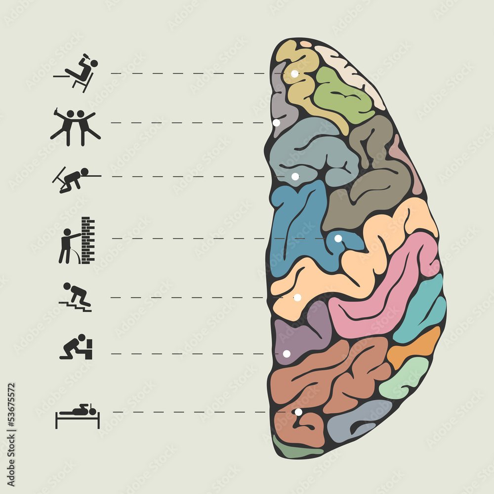Funny concept of human brain Funny concept of human brain
