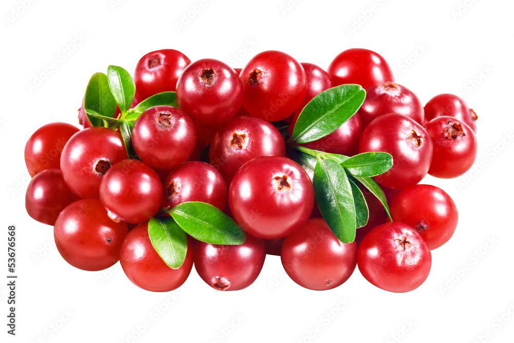 cranberry isolated on white. With clipping path cranberry isolated on white. With clipping path