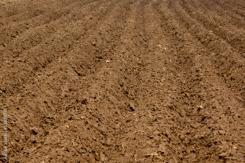 soil soil