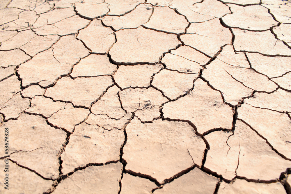 Dried cracked earth Dried cracked earth