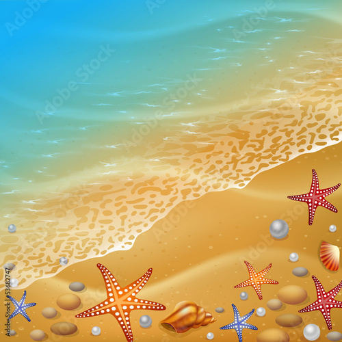 ocean shore and starfish, illustration