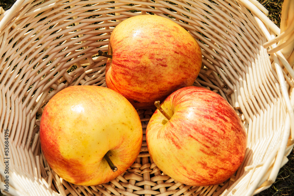 Beautiful and ripe apples in wattled basket Beautiful and ripe apples in wattled basket