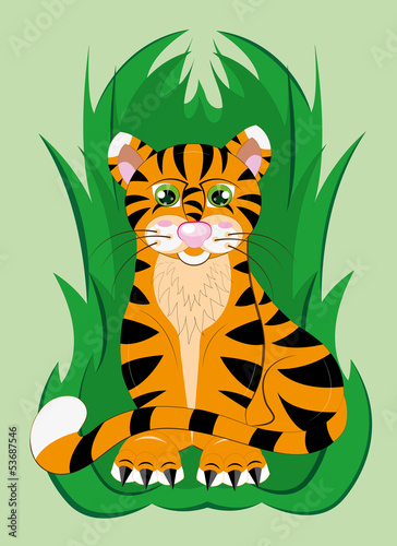 Tiger cub on a grass.