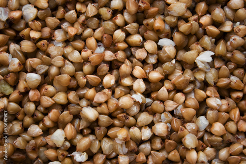 Buckwheat grains