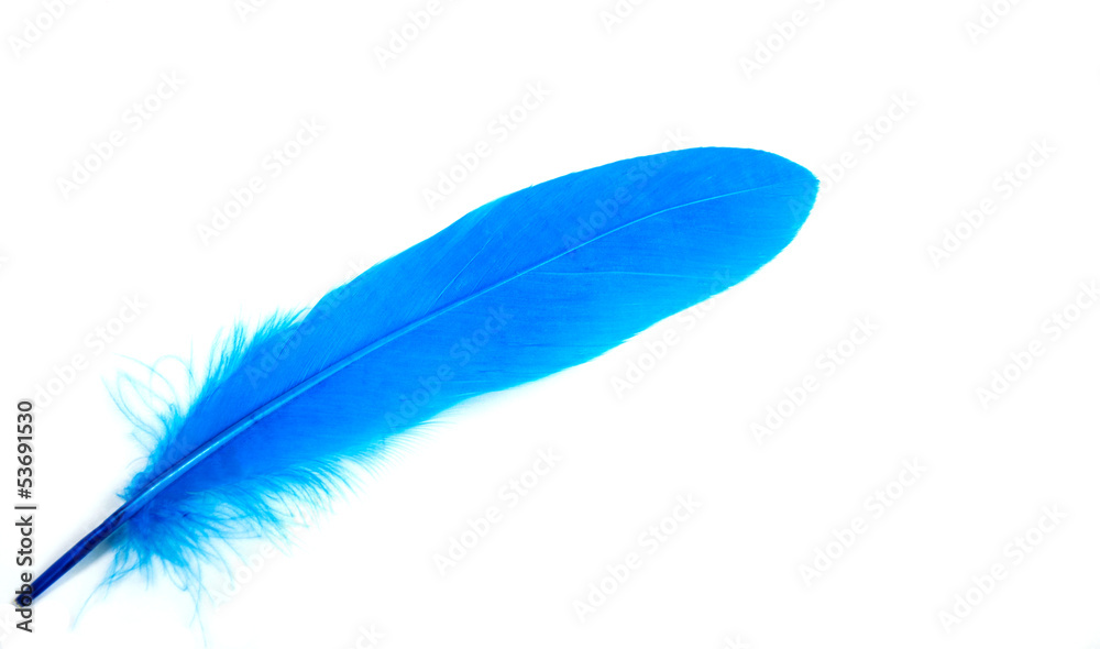 color feather