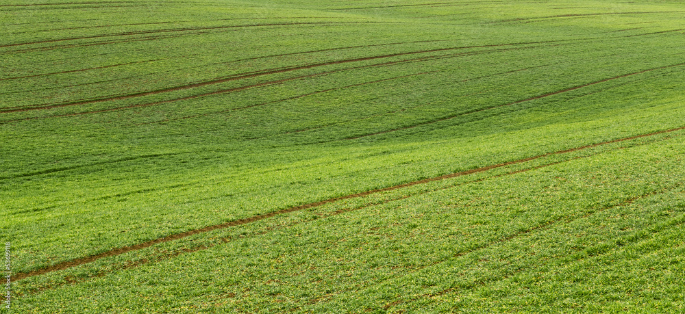 Green flow fields panorama Green flow fields panorama