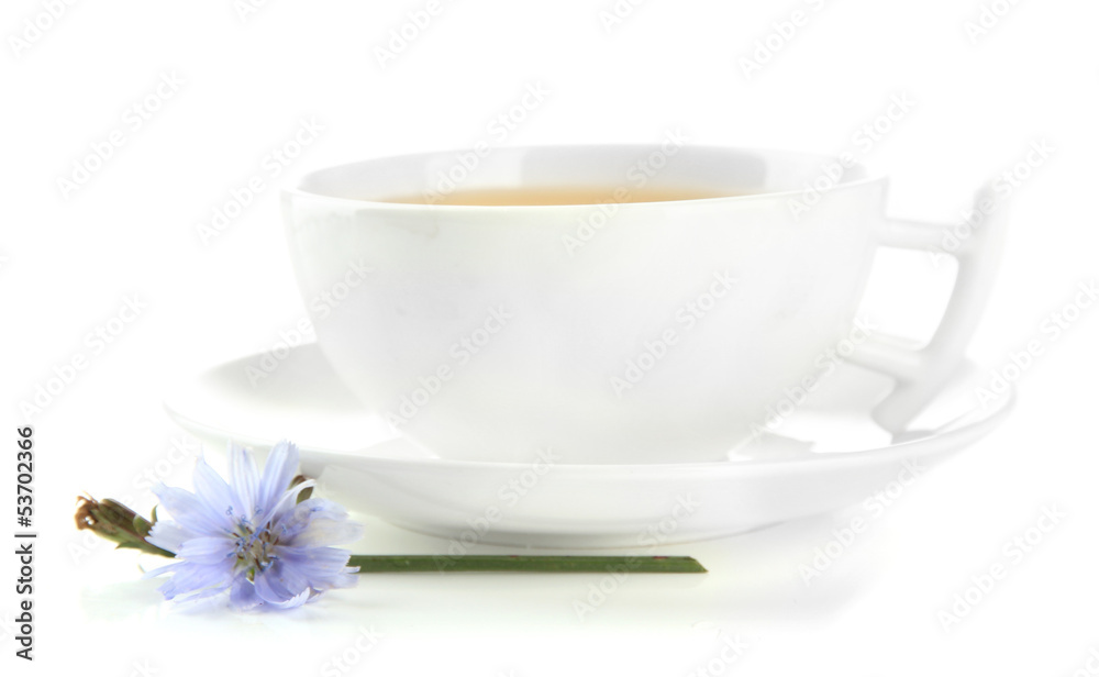 Cup of tea with chicory, isolated on white Cup of tea with chicory, isolated on white