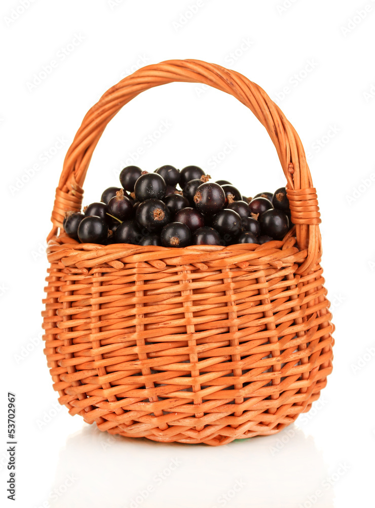 Fresh black currant in wicker basket isolated on white Fresh black currant in wicker basket isolated on white