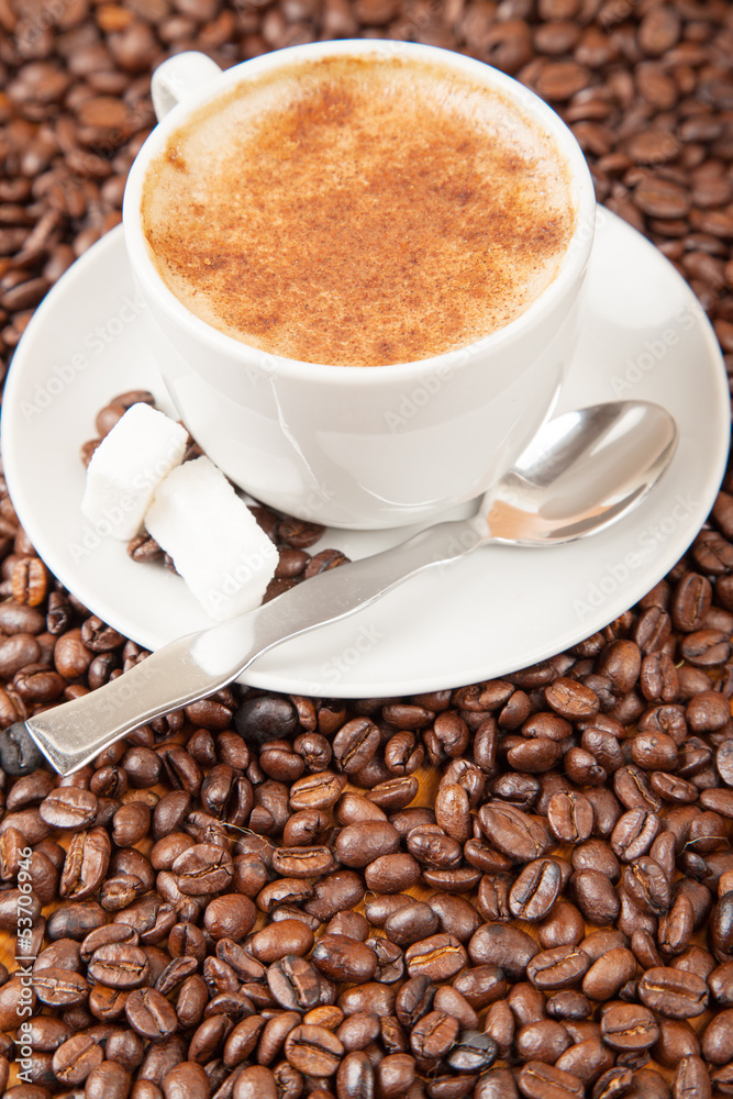 Single cup of cappuccino surrounded by coffee beans Single cup of cappuccino surrounded by coffee beans