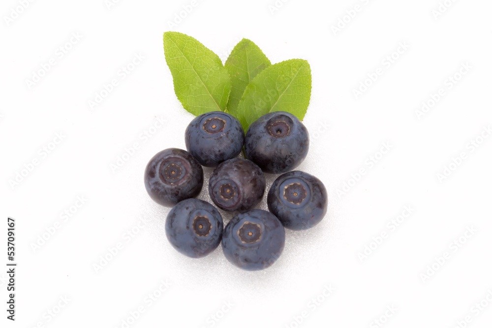 Blueberries with leaves on white background Blueberries with leaves on white background