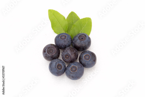 Blueberries with leaves on white background