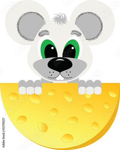 Mouse eating cheese © Jekaterina