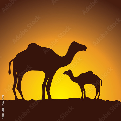 caravan of camels, vector image design