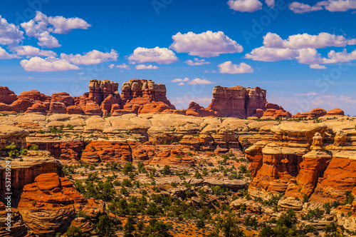 Needles in Canyonlands