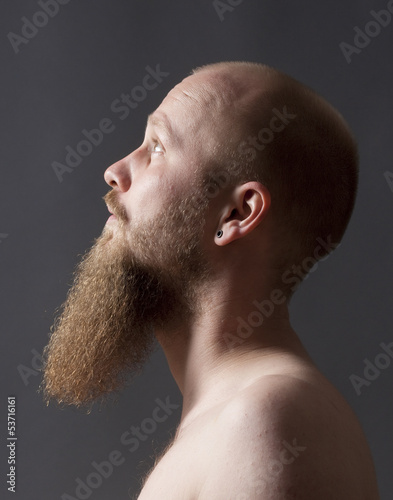 Принти на полотні Man with Goatee Beard
