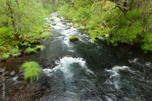Stream flow over rocks in a beautiful forest