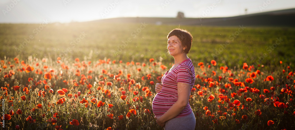 Obraz Pregnant woman in a flowering poppy field