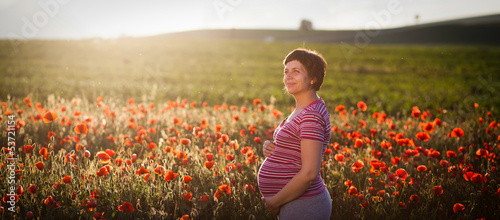 Fototapeta Naklejka Na Ścianę i Meble -  Pregnant woman in a flowering poppy field