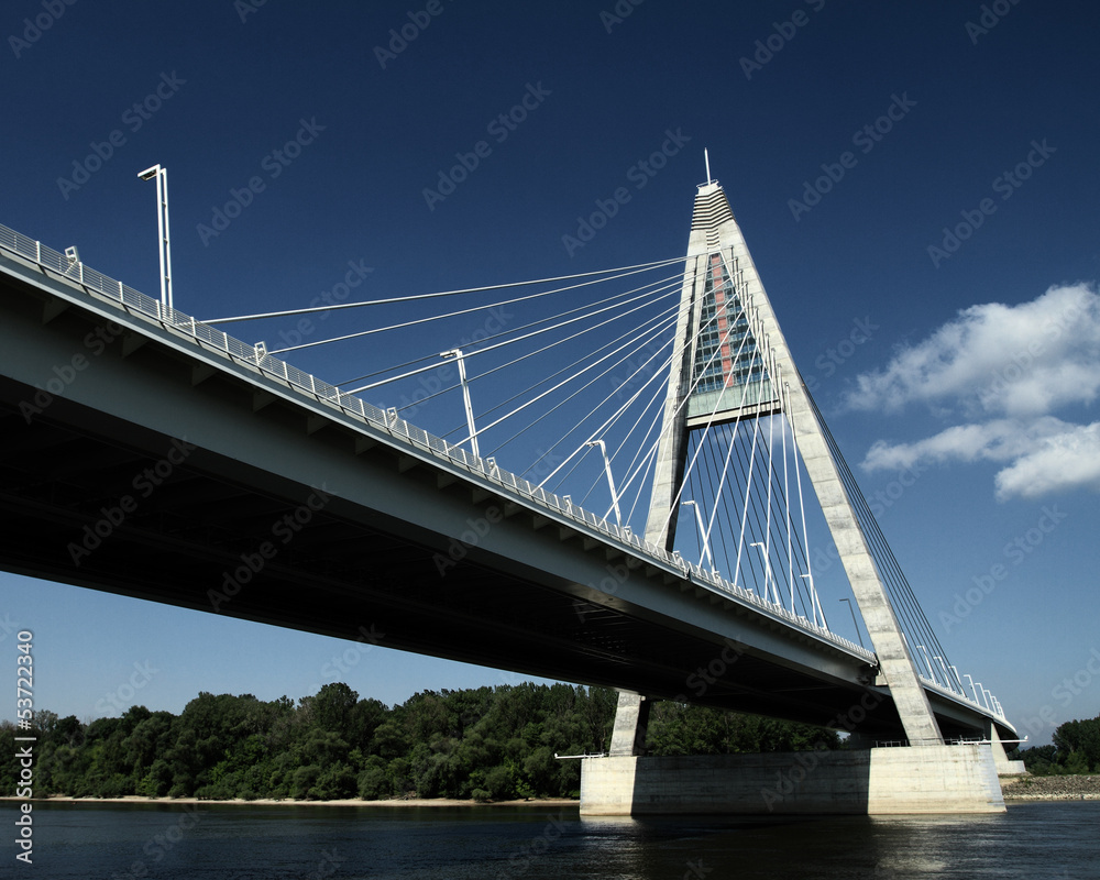 Fototapeta premium Detail of bridge (Hungary)