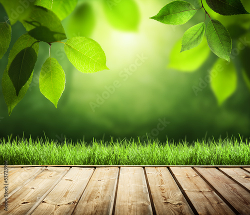 summer background with wooden surface photo