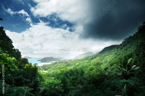 Fototapeta Naklejka Na Ścianę i Meble -  jungle of seychelles island