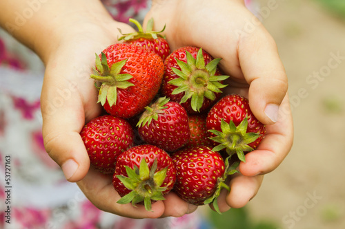 Obraz na płótnie fresh strawberrys w salonie