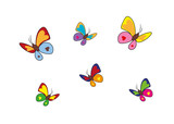 Schmetterlinge Sammlung