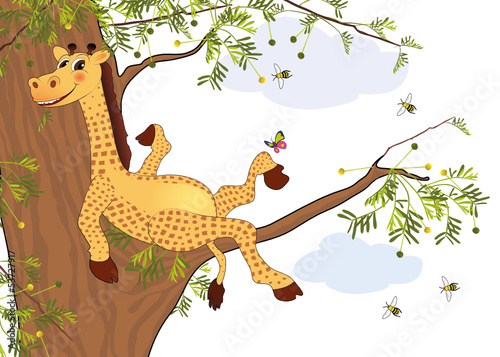 Giraffe ruht sich im Akazienaum auf