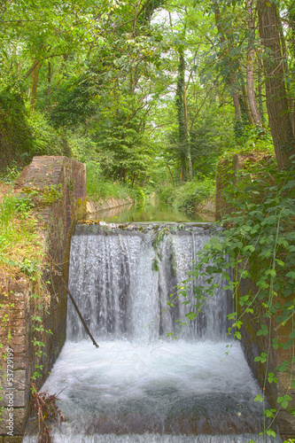 Waterfall in the wood