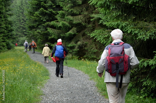 Senioren wandern in Gruppe