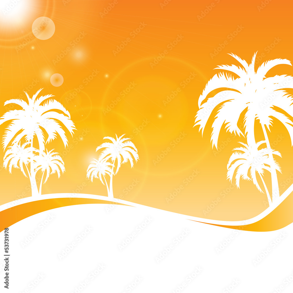 palm beach summer background
