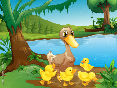 A mother duck with her ducklings