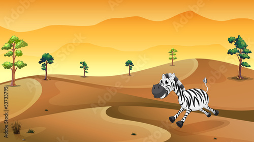 A zebra in the desert