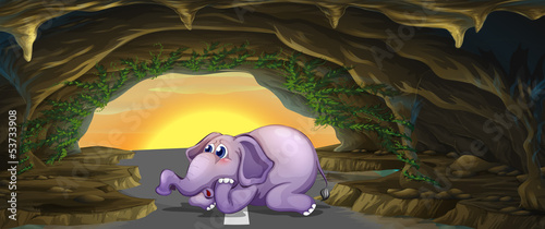 A terrified elephant in the middle of the road