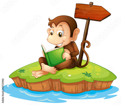 A monkey reading a book in an island