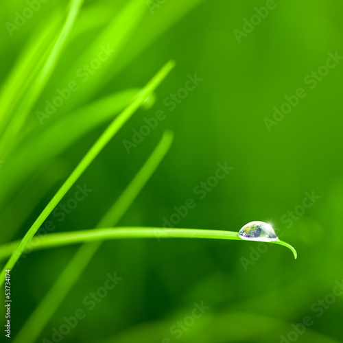World into a Water Drop on Grass / with copy space