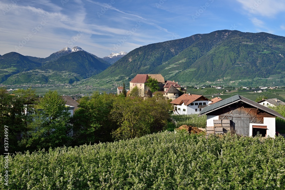 Schenna - Scena in Südtirol