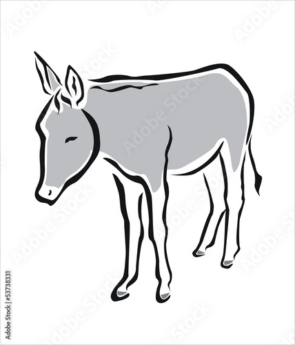 burro gris