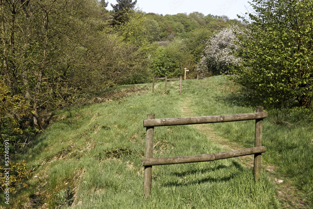 Combe Valley RSPB Reserve