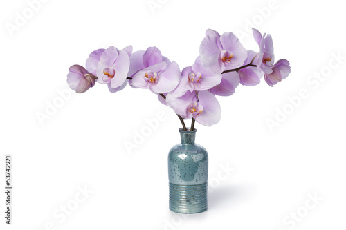 Fototapeta Naklejka Na Ścianę i Meble -  Pink Orchid flowers
