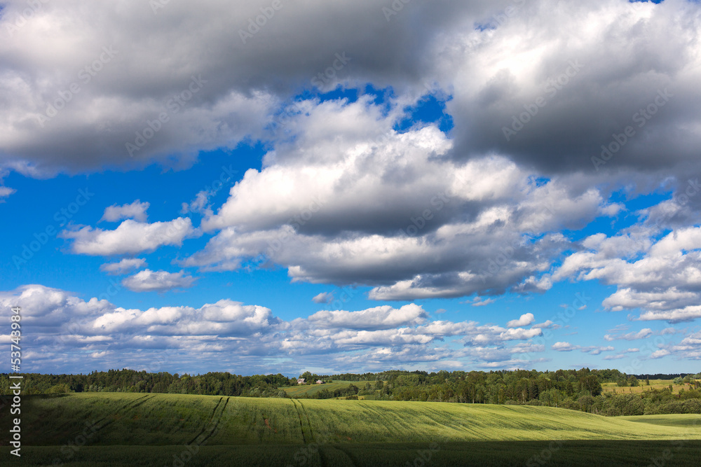 Field and clouds.
