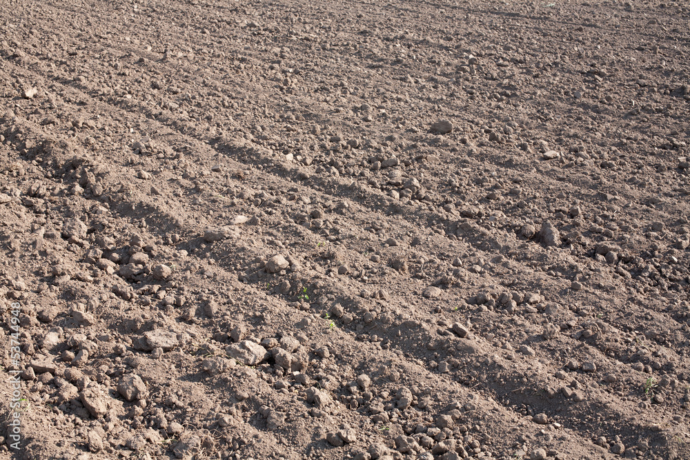 Plowed field. Texture. Plowed field. Texture.