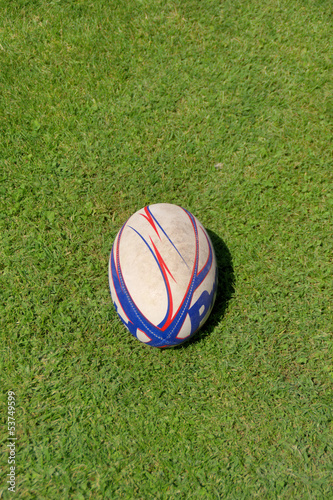 Ballon de Rugby sur herbe